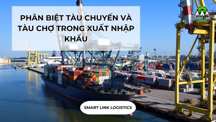 PHÂN BIỆT TÀU CHUYẾN VÀ TÀU CHỢ TRONG XUẤT NHẬP KHẨU