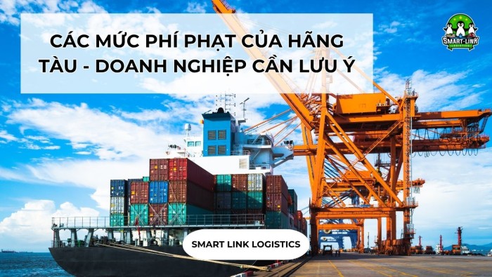 CÁC MỨC PHÍ PHẠT CỦA HÃNG TÀU – DOANH NGHIỆP CẦN LƯU Ý
