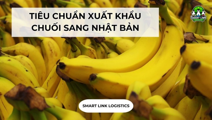 TIÊU CHUẨN XUẤT KHẨU CHUỐI SANG NHẬT BẢN CHI TIẾT