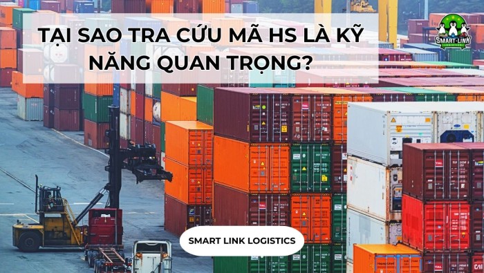 TẠI SAO TRA CỨU MÃ HS LÀ KỸ NĂNG QUAN TRỌNG?