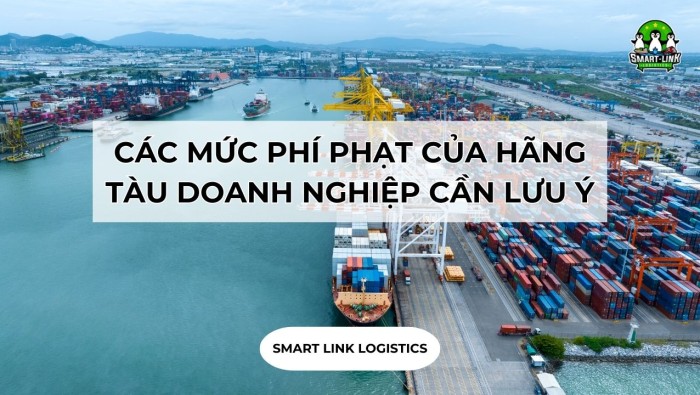 CÁC MỨC PHÍ PHẠT CỦA HÃNG TÀU DOANH NGHIỆP CẦN LƯU Ý