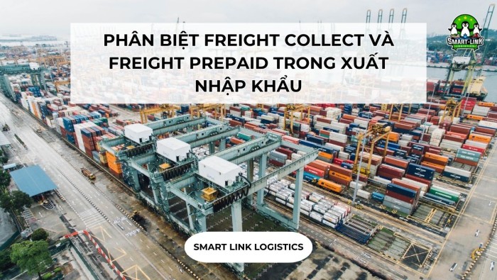 PHÂN BIỆT FREIGHT COLLECT VÀ FREIGHT PREPAID TRONG XUẤT NHẬP KHẨU