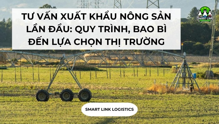 TƯ VẤN XUẤT KHẨU NÔNG SẢN LẦN ĐẦU: QUY TRÌNH, BAO BÌ ĐẾN LỰA CHỌN THỊ TRƯỜNG PHÙ HỢP