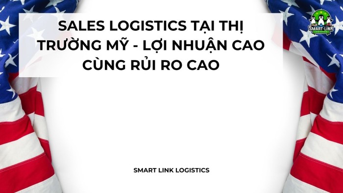 SALES LOGISTICS TẠI THỊ TRƯỜNG MỸ – LỢI NHUẬN CAO CÙNG RỦI RO CAO