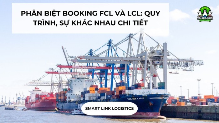 PHÂN BIỆT BOOKING FCL VÀ LCL: QUY TRÌNH, SỰ KHÁC NHAU CHI TIẾT