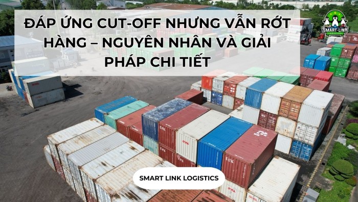 ĐÁP ỨNG CUT-OFF NHƯNG VẪN RỚT HÀNG – NGUYÊN NHÂN VÀ GIẢI PHÁP CHI TIẾT