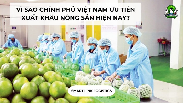 VÌ SAO CHÍNH PHỦ VIỆT NAM ƯU TIÊN XUẤT KHẨU NÔNG SẢN HIỆN NAY?