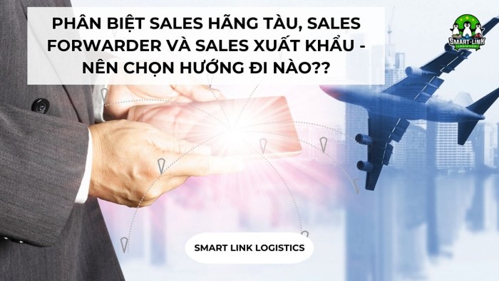 PHÂN BIỆT SALES HÃNG TÀU, SALES FORWARDER VÀ SALES XUẤT KHẨU – NÊN CHỌN HƯỚNG ĐI NÀO??