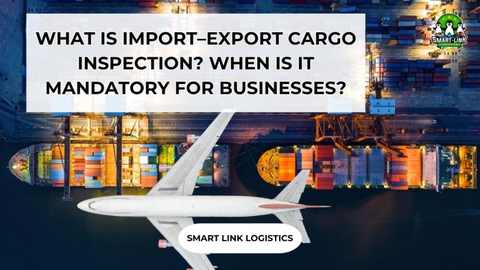WHAT IS IMPORT–EXPORT CARGO INSPECTION? WHEN IS IT MANDATORY FOR BUSINESSES?