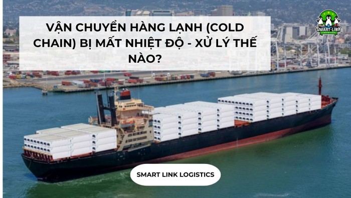 VẬN CHUYỂN HÀNG LẠNH (COLD CHAIN) BỊ MẤT NHIỆT ĐỘ – XỬ LÝ THẾ NÀO?