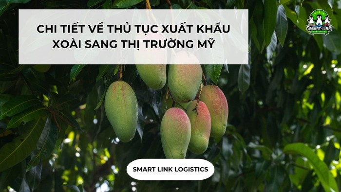 CHI TIẾT VỀ THỦ TỤC XUẤT KHẨU XOÀI SANG THỊ TRƯỜNG MỸ