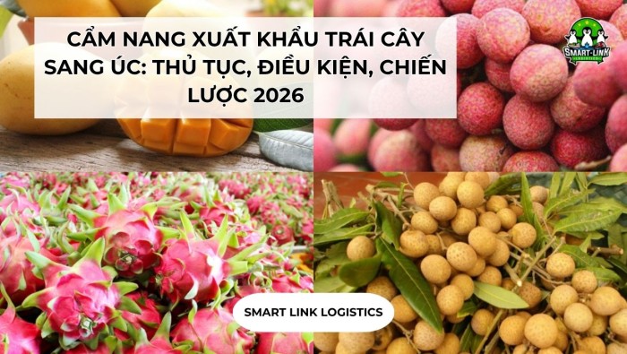 CẨM NANG XUẤT KHẨU TRÁI CÂY SANG ÚC: THỦ TỤC, ĐIỀU KIỆN, CHIẾN LƯỢC 2026