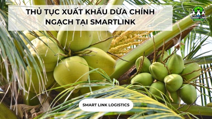 THỦ TỤC XUẤT KHẨU DỪA CHÍNH NGẠCH TẠI SMARTLINK