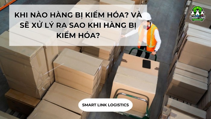 KHI NÀO HÀNG BỊ KIỂM HÓA? VÀ SẼ XỬ LÝ RA SAO KHI HÀNG BỊ KIỂM HÓA?