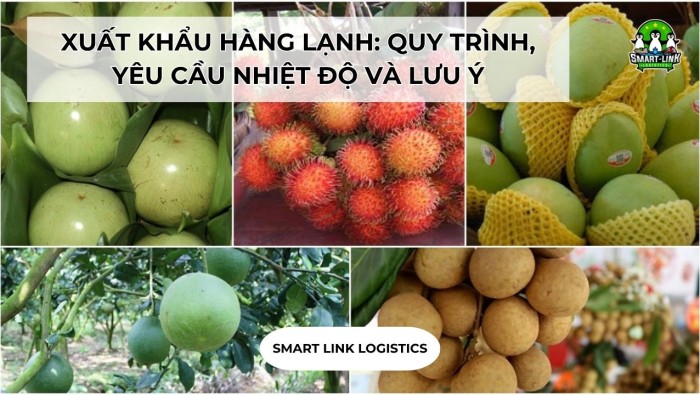 XUẤT KHẨU HÀNG LẠNH: QUY TRÌNH, YÊU CẦU NHIỆT ĐỘ VÀ LƯU Ý QUAN TRỌNG