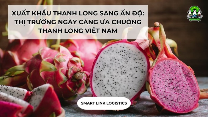 XUẤT KHẨU THANH LONG SANG ẤN ĐỘ: THỊ TRƯỜNG NGÀY CÀNG ƯA CHUỘNG THANH LONG VIỆT NAM