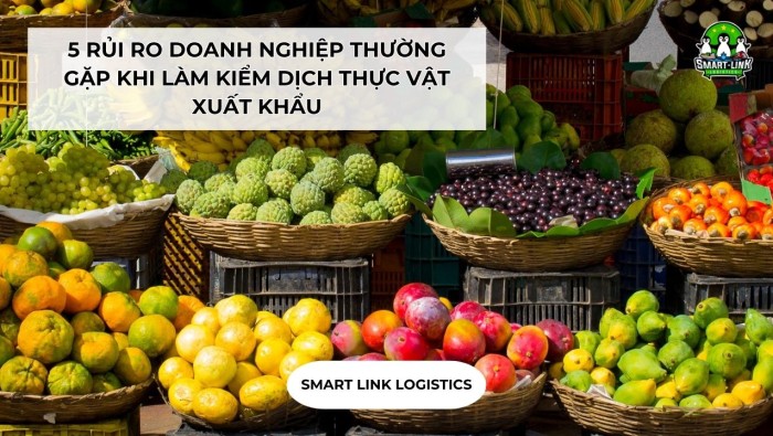 5 RỦI RO DOANH NGHIỆP THƯỜNG GẶP KHI LÀM KIỂM DỊCH THỰC VẬT XUẤT KHẨU