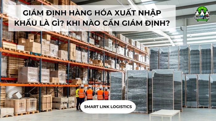 GIÁM ĐỊNH HÀNG HÓA XUẤT NHẬP KHẨU LÀ GÌ? KHI NÀO CẦN GIÁM ĐỊNH HÀNG HÓA?