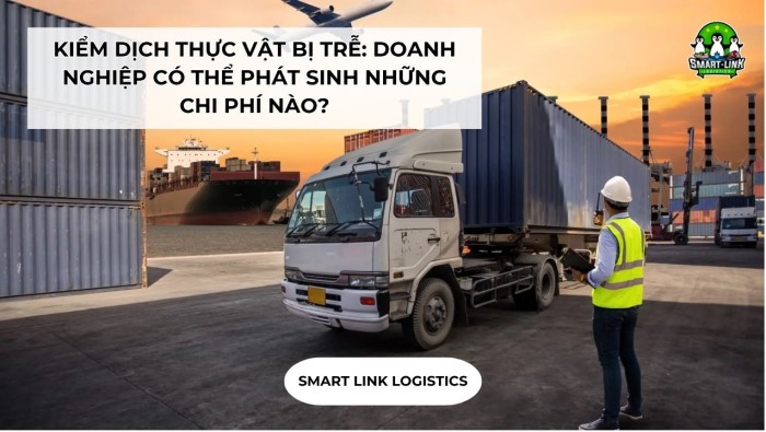KIỂM DỊCH THỰC VẬT BỊ TRỄ: DOANH NGHIỆP CÓ THỂ PHÁT SINH NHỮNG CHI PHÍ NÀO?