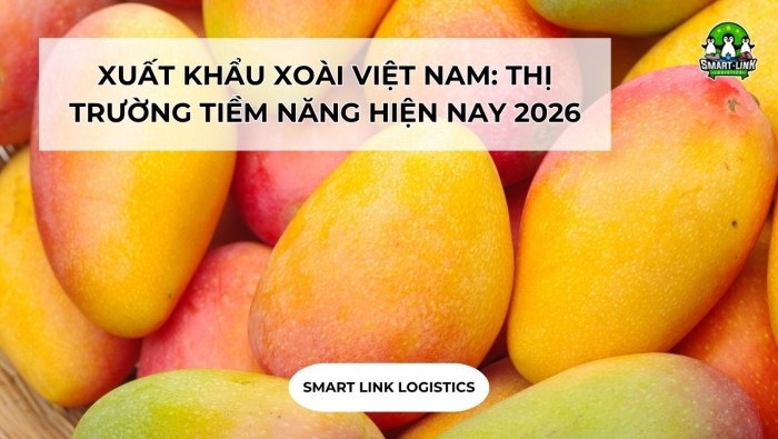 XUẤT KHẨU XOÀI VIỆT NAM: THỊ TRƯỜNG TIỀM NĂNG HIỆN NAY 2026