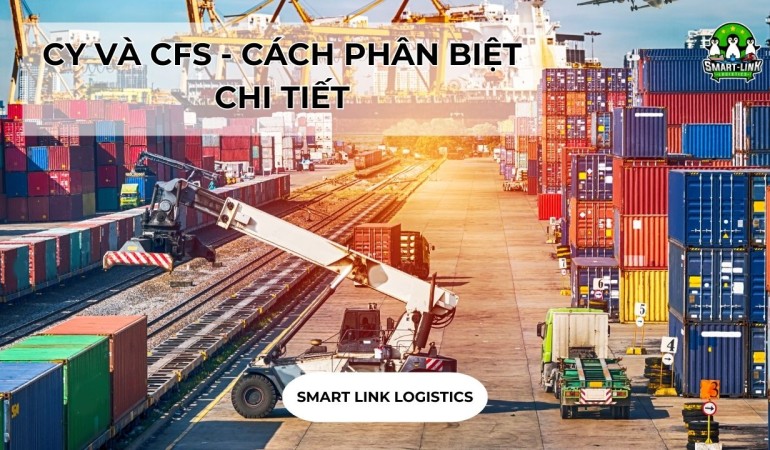 CY VÀ CFS – CÁCH PHÂN BIỆT CHI TIẾT