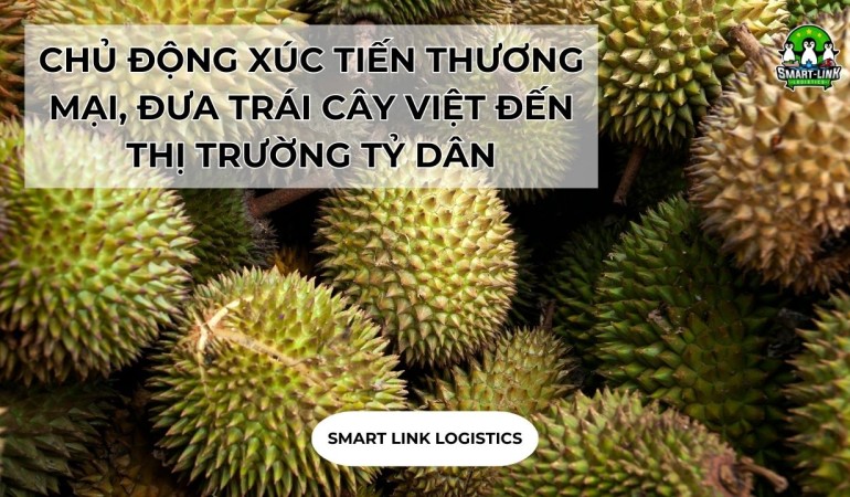 CHỦ ĐỘNG XÚC TIẾN THƯƠNG MẠI, ĐƯA TRÁI CÂY VIỆT ĐẾN THỊ TRƯỜNG TỶ DÂN