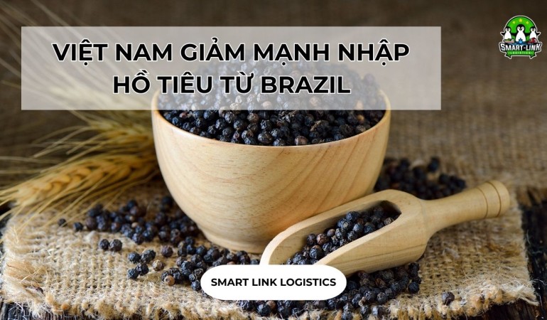 VIỆT NAM GIẢM MẠNH NHẬP HỒ TIÊU TỪ BRAZIL