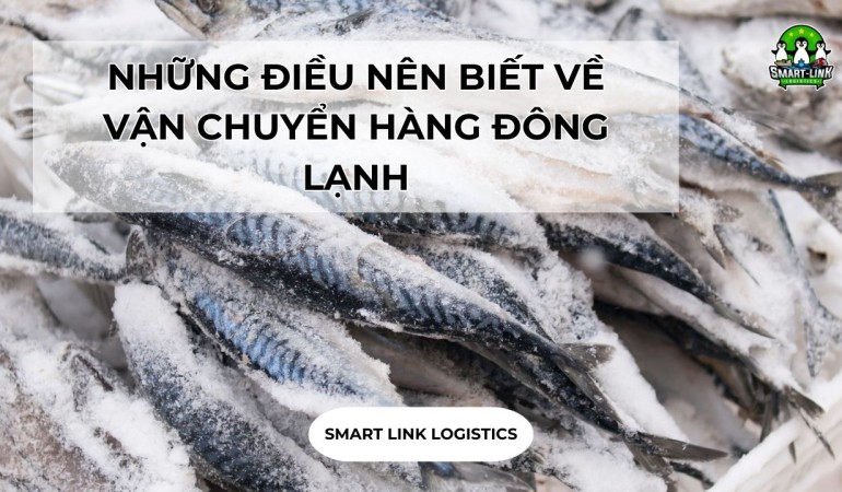 NHỮNG ĐIỀU NÊN BIẾT VỀ VẬN CHUYỂN HÀNG ĐÔNG LẠNH