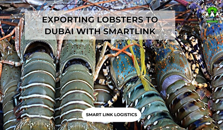 EXPORTING LOBSTERS TO DUBAI WITH SMARTLINK