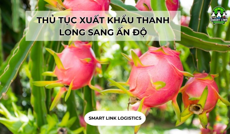 THỦ TỤC XUẤT KHẨU THANH LONG SANG ẤN ĐỘ