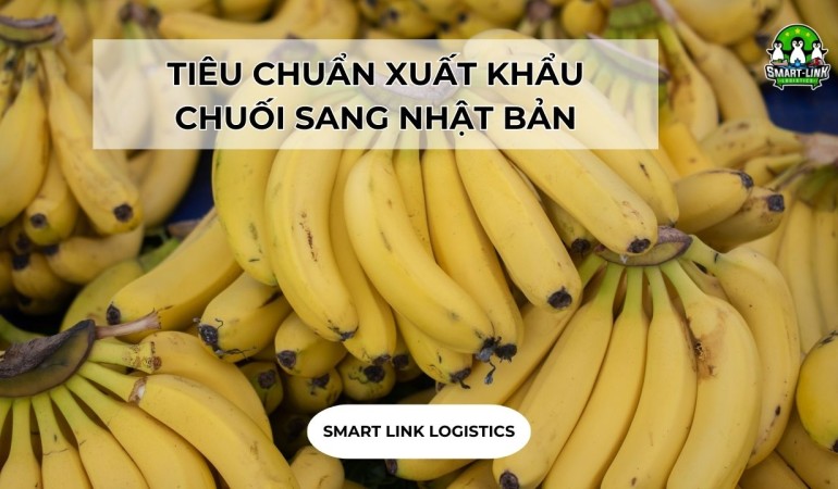 TIÊU CHUẨN XUẤT KHẨU CHUỐI SANG NHẬT BẢN