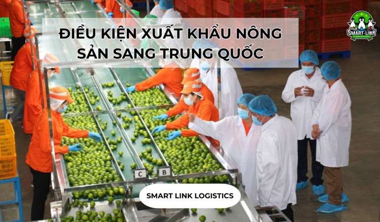 ĐIỀU KIỆN XUẤT KHẨU NÔNG SẢN SANG TRUNG QUỐC