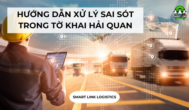 HƯỚNG DẪN XỬ LÝ SAI SÓT TRONG TỜ KHAI HẢI QUAN