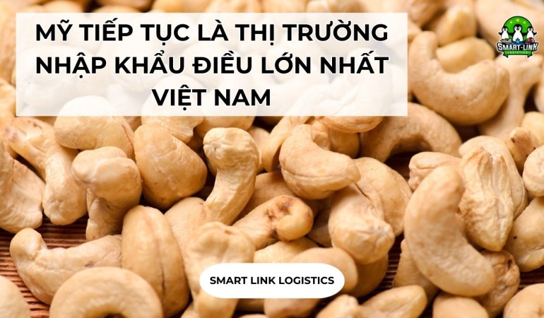 MỸ TIẾP TỤC LÀ THỊ TRƯỜNG NHẬP KHẨU ĐIỀU LỚN NHẤT VIỆT NAM