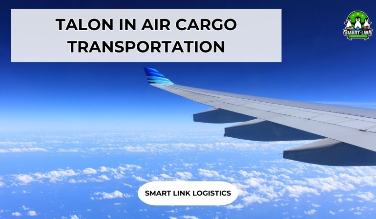 TALON IN AIR CARGO TRANSPORTATION