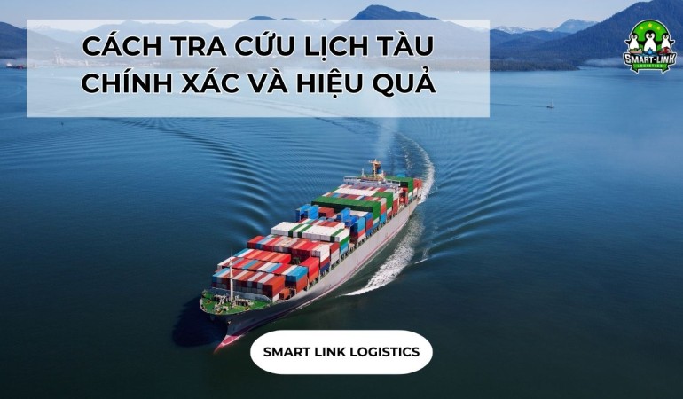 CÁCH TRA CỨU LỊCH TÀU CHÍNH XÁC VÀ HIỆU QUẢ NHẤT