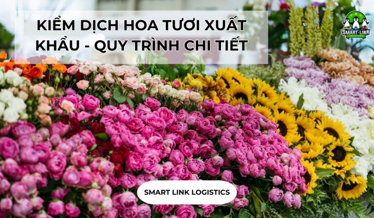 KIỂM DỊCH HOA TƯƠI XUẤT KHẨU – QUY TRÌNH CHI TIẾT