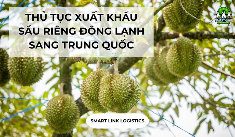 THỦ TỤC XUẤT KHẨU SẦU RIÊNG ĐÔNG LẠNH SANG TRUNG QUỐC