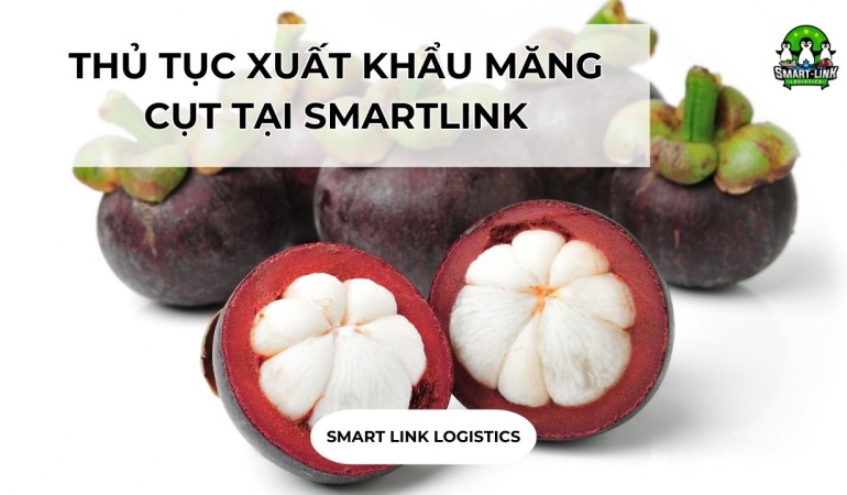 THỦ TỤC XUẤT KHẨU MĂNG CỤT TẠI SMARTLINK