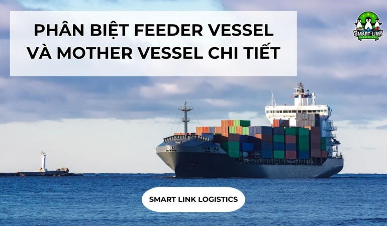 PHÂN BIỆT FEEDER VESSEL VÀ MOTHER VESSEL CHI TIẾT