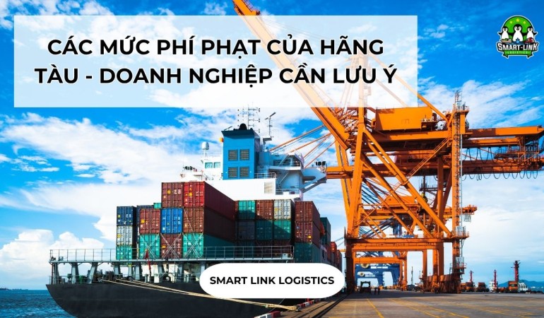CÁC MỨC PHÍ PHẠT CỦA HÃNG TÀU – DOANH NGHIỆP CẦN LƯU Ý