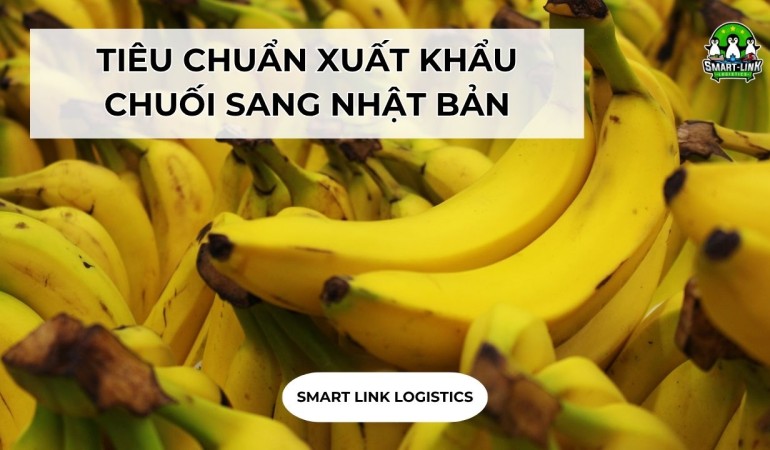TIÊU CHUẨN XUẤT KHẨU CHUỐI SANG NHẬT BẢN CHI TIẾT