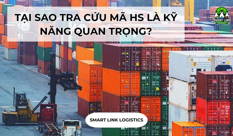TẠI SAO TRA CỨU MÃ HS LÀ KỸ NĂNG QUAN TRỌNG?