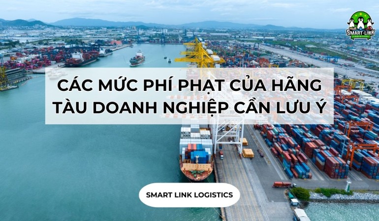 CÁC MỨC PHÍ PHẠT CỦA HÃNG TÀU DOANH NGHIỆP CẦN LƯU Ý