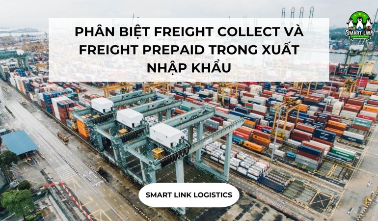 PHÂN BIỆT FREIGHT COLLECT VÀ FREIGHT PREPAID TRONG XUẤT NHẬP KHẨU