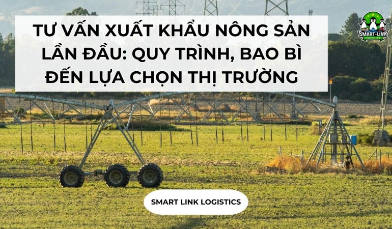 TƯ VẤN XUẤT KHẨU NÔNG SẢN LẦN ĐẦU: QUY TRÌNH, BAO BÌ ĐẾN LỰA CHỌN THỊ TRƯỜNG PHÙ HỢP