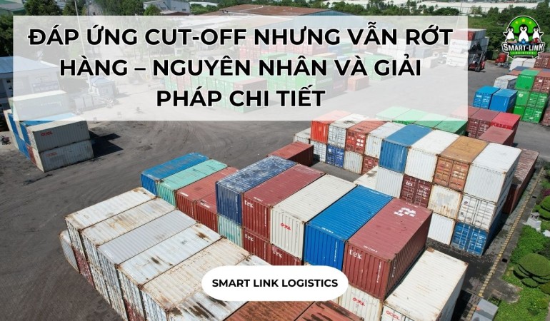 ĐÁP ỨNG CUT-OFF NHƯNG VẪN RỚT HÀNG – NGUYÊN NHÂN VÀ GIẢI PHÁP CHI TIẾT