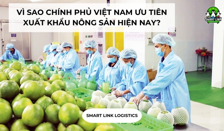 VÌ SAO CHÍNH PHỦ VIỆT NAM ƯU TIÊN XUẤT KHẨU NÔNG SẢN HIỆN NAY?