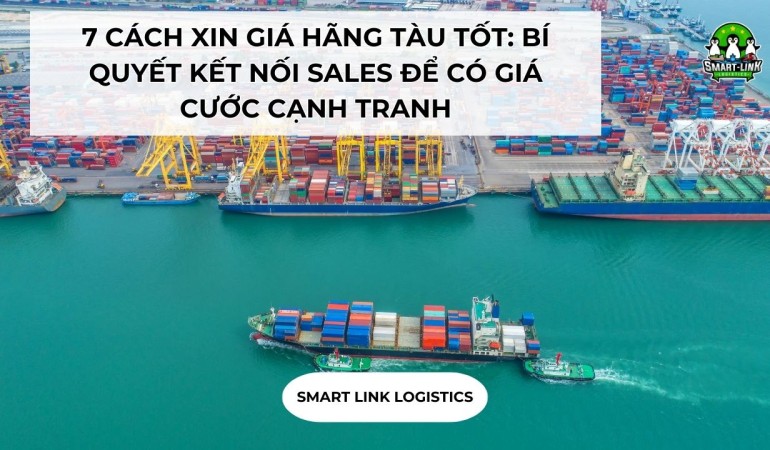 7 CÁCH XIN GIÁ HÃNG TÀU TỐT: BÍ QUYẾT KẾT NỐI SALES ĐỂ CÓ GIÁ CƯỚC CẠNH TRANH