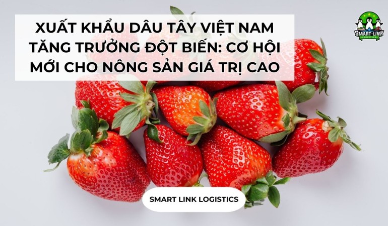 XUẤT KHẨU DÂU TÂY VIỆT NAM TĂNG TRƯỞNG ĐỘT BIẾN: CƠ HỘI MỚI CHO NÔNG SẢN GIÁ TRỊ CAO